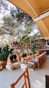 Sunday's at Cala Gracioneta 💛 | Ibiza 2026