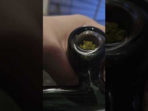 Sundae driver review