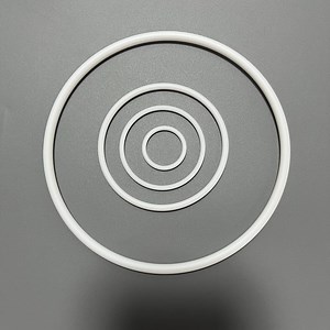 [Hot Item] Aodd Diaphragm Pump Valve Spare Part Repair Kit PTFE O-Ring O Ring