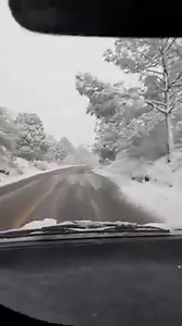 2K views · 38 reactions | #CirculaEnRedes Video de la fuerte Nevada en #Madera #Chih. | El Diario de Delicias | Facebook