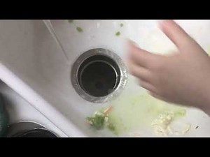 Insinkerator evolution 200 model