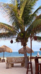 130 reactions · 39 shares | Nada más hipnótico y relajante que ver nuestro amado mar Caribe. | Unico Beach -Puerto Morelos | Facebook