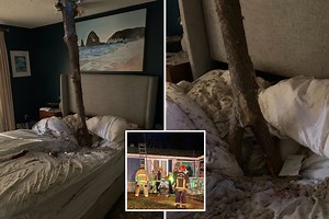 Wild pic shows woman was pinned by tree that fell in ceiling as she slept