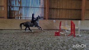 12K views · 89 reactions | ⚡️1ère séance de saut monté pour Lady...