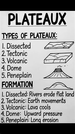 Types of Plateaux | Mtishtech international