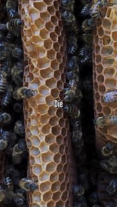 7.1K views · 189 reactions | 樂 kann man Vorteile aus allen...