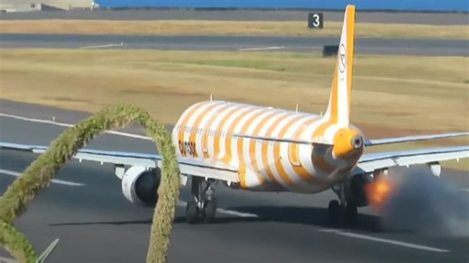 Flughafen Madeira: Condor-Flieger hebt trotz Vogelschlag ab