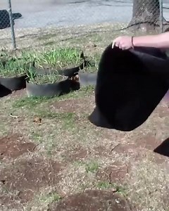 ★ creșteți propriile produse bio fără teren ★  în interior sau în aer liber  drenaj superior  rădăcini mai sănătoase  legume de casă tot timpul anului   https://superzebra.ro/produs/jardiniera-din-material-textil-pentru-toate-tipurile-de-plante-plantie?sp=7749i997 | Superzebra | Facebook