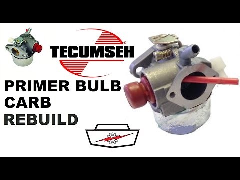 Tecumseh carb rebuild part 1
