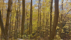 Students at NMU not only have access to an array of incredible opportunities inside the classroom, but also just beyond campus. From mountain biking to film making, students are encouraged to find their own passions. | Northern Michigan University
