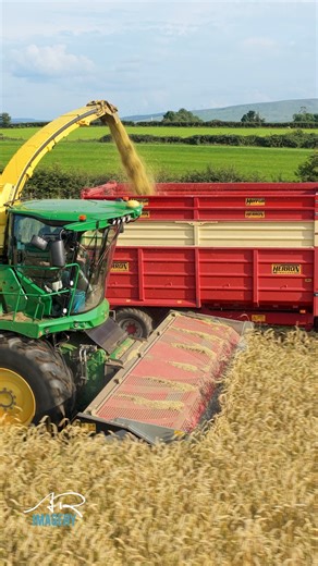 On the ground with Lyons Contracts as the John Deere 9500i carves through whole crop rye using the Domai header — a serious bit of kit doing serious volume. The crop is bound for Purcell Farms, feeding 300 high-output dairy cows between the two farms. #arimagery #farming #agriculture | AR Imagery - Farming & Agricultural Videographer