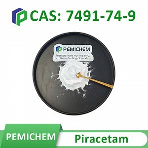[Hot Item] Shanghai Pemichem Lab Supply Raw Materials Pharmaceutical Intermediates Powder Piracetam CAS 7491-74-9 with 99% Pruity