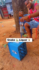 Snake 🐍 Liquor 🍹 | Aroh Okechukwu Jeff