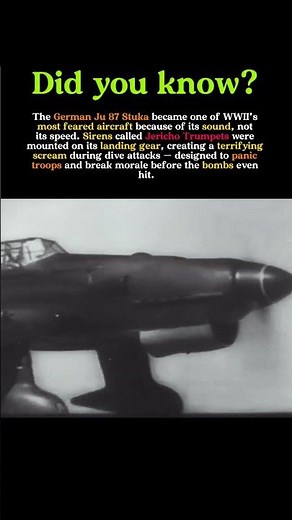 The Plane That Weaponized Fear: Germany’s Screaming Stuka #history #ww2