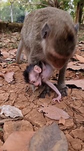 16K views · 438 reactions | Young mom Saxon not proper hold baby Shania | Aim Koeurn | Facebook