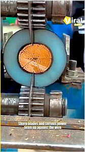 4.2K views · 34 reactions | Viral Dekho on Reels | Facebook