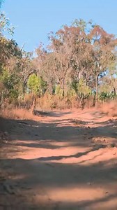 771 reactions · 38 shares | RACE-BRED Technology Our ALL-NEW MRR Adjustable Shock Absorbers have all the adjustment you'd ever NEED! | Dobinsons Spring & Suspension | Facebook