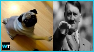 Count Dankula was convicted of a hate crime after video of him teaching his girlfriend’s dog the Nazi salute went viral. | What's Trending