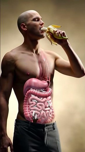 What Really Happens in Your Intestines? Watch These Parasites Move!