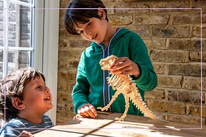 Tired of hearing T-Rex facts? We have good news - science says kids with 'intense interest' in dinosaurs have higher intelligence