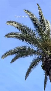 1.1K views · 13 reactions | Welcome to Waldorf Astoria Monarch Beach Resort & Club, where every detail is thoughtfully curated to create an experience of unparalleled elegance and sophistication. #WaldorfAstoriaMonarchBeach #WanderWaldorf | Waldorf Astoria Monarch Beach Resort & Club | Facebook