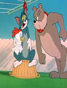 3.7K views · 95 reactions | Car modifiers on Reels | Facebook