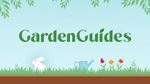 How To Plant & Care For Burning Bushes - Garden Guides