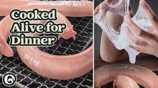 Eating hagfish: A Korean delicacy explained