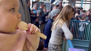 1.1K views · 19 reactions | Alyssa Ivanson WANE 15 on Reels | Facebook