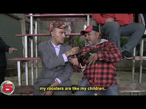 Cockfighting in Rural Mexico (Trailer)