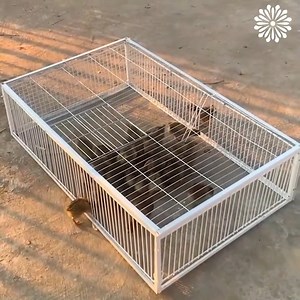 120K views · 90 reactions | Catching birds  | Pretty Hairstyles | Facebook