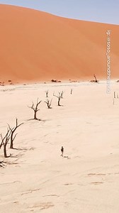 Hidden gems in Namibia 🇳🇦🤯 #travel #adventure #explore #nature #namibia | TripInspo