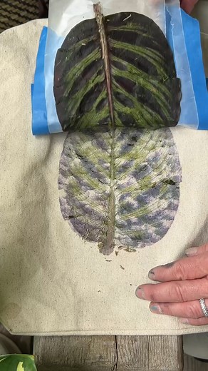 Make a Printed Calathea Tote Bag! #style #diy #leafart #tote #bag #planterina #satisfying #plants #homedecor #fbreels #reels | Planterina