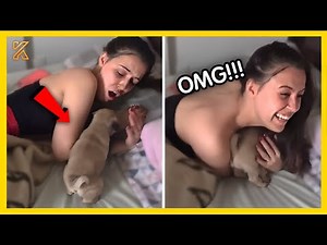 🐕🤩BEST New Puppy Surprise Compilation 2024💕Wholesome Surprise Moments