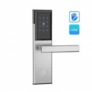 [Hot Item] Electronic Ttlock APP Digital Smart Lock for Home