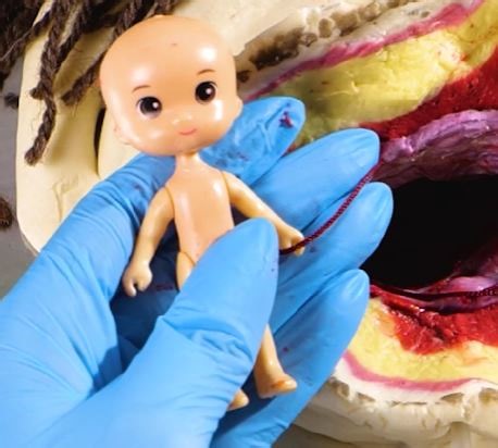 How Babies Arrive: A Simple Doll Story for Kids | 5-Minute Crafts