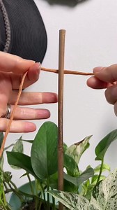 Lets macrame some stylish plant stakes for your growing plants! #diyideas #diy #diyhomedecor #plantsmakepeoplehappy | Leaf & Soul