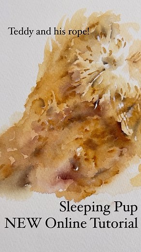 Jean Haines Watercolours on Reels