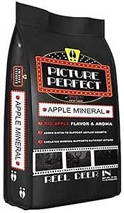 Covert Camera Picture Perfect Mineral