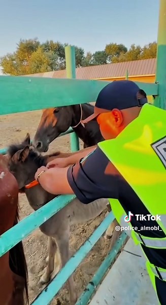 iron_woman_mvd on TikTok