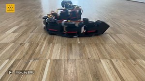 Flipper is a 1.2-meter-long robot snake crafted from 13 intricately designed 3D-printed pieces. It navigates and explores its surroundings using three distinct modes of motion: Inchworm, Concertina, and Undulation. “Our project had to be composed of a balanced amount of software and hardware as well as being both complex yet feasible in the eight-week time frame that we had,” explained Leila Sidjanski, Bachelor in Communication Systems student and one of the team’s members. “It was overwhelming 