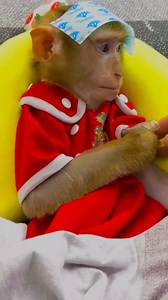 152K views · 3.5K reactions | Kaka obediently listened to her dad and took the medicine #KakaVideo | Kaka Page | Facebook