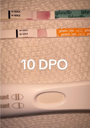 10 DPO: Pregnancy Test Journey & TTC Insights
