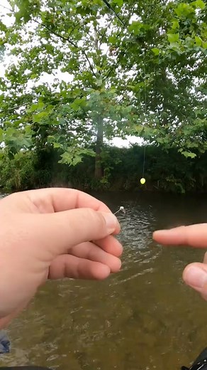 Uncut HUGE FISH Attacks Lure 🎣🐋 #jesus #godisgood #nrvbaits #trout #fish #creek #bigfish #rainbowtrout #lurefishing #SmallBusiness #Outdoors #catchandrelease #contentcreator #softplastics #hellbendernets #spinningreel #fishing #troutfishing #fyp #foryou #viralvideo #millionactsoflove #tiktokshop #tiktokpartner #fypシ #fypage #fishtok #creekbugz #trendinghashtag | Flyfishdelawhere