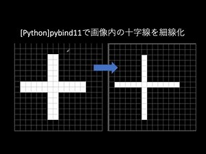 [Python]pybind11で画像の細線化