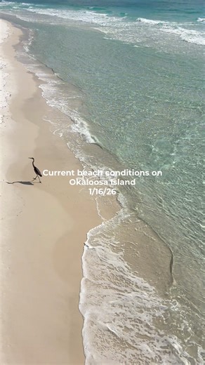 8.1K views · 145 reactions | Current beach conditions on Okaloosa Island in Fort Walton Beach, FL ☀️ Such beautiful views from the pier! #destin #okaloosaisland #fortwalton #fortwaltonbeach #beach | Compass Resorts | Facebook
