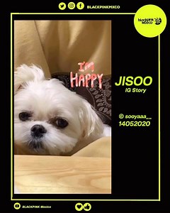 #JisooHappinessDalgomDay | #JISOO subió fotos de #Dalgom junto con las manos de #LALISA 🤩😂💕✨ . . . . © sooyaaa__ - 14052020 ————————————————————————— *Siguenos para comentar . . . #BLACKPINKMEXICO #BLINKS #블랙핑크 #지수 #JISOO #제니 #JENNIE #로제 #ROSÉ #리사 #LISA #KILLTHISLOVE #DDUDUDDUDU #LALISAMANOBAN #KIMJENNIE #KIMJISOO #블랙핑크 #PARKROSE #BLINKSMEXICO #CHISMEKOREANO #GAGAPINK #SOURCANDY #OT4 #JENCHULICHAENG #BLACKPINKISCOMING #KPOP #BLACKPINKCOMEBACK | BLACKPINK MÉXICO