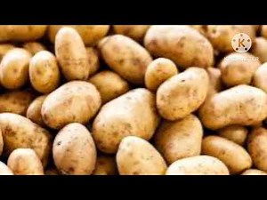 April आलू भाव दिल्ली आजादपुर potato price तेजी मंदी रिपोर्ट Aalu bhav
