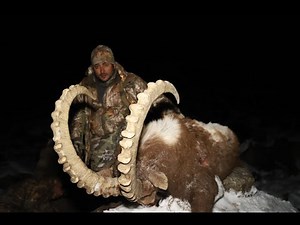 The Himalayan Hunter: Magnificent Himalayan Ibex Hunt in Pakistan. Walked over 280 Km on this trip