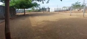 Here is a video of the newbies Arabia (ibizan hound girl) and Gobi (white smaller boy). He is an adorable, and an affectionate cheeky boy. She is scared and has a wound on her paw. More infos on them soon. Contact: sospodencorescue@gmail.com | SOS Podenco Rescue